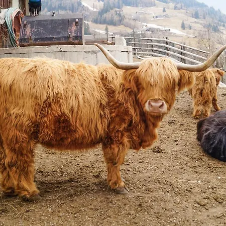 Lejlighed 1 Bedroom Cozy In *